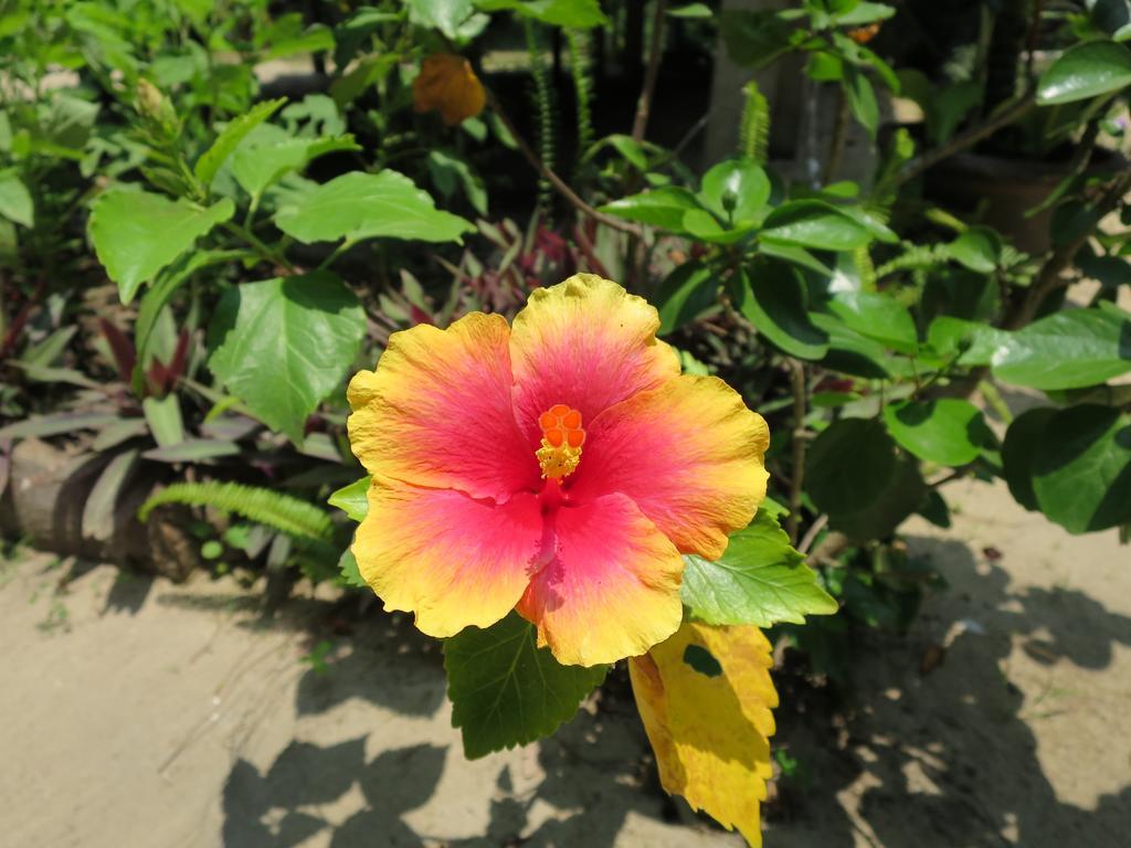 Bangbaobeach Resort Koh Chang Zewnętrze zdjęcie